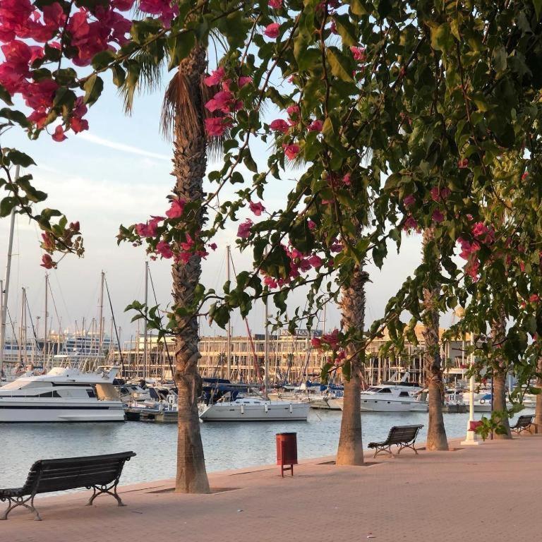 10-46-1- Комната В Квартире Для 4 Человек В Аликанте Alicante Kültér fotó